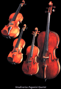 stradivarius